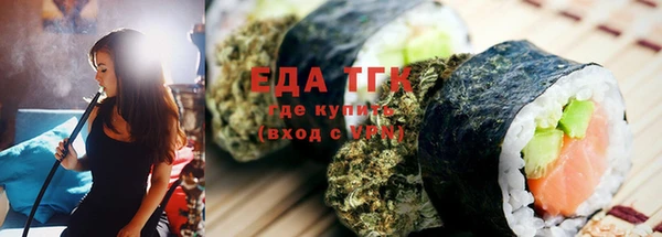 хмурый Аркадак