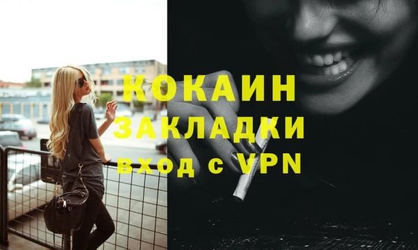 хмурый Арсеньев