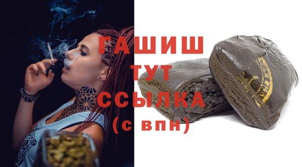 хмурый Аркадак