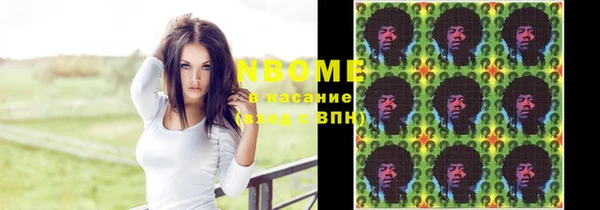 хмурый Арсеньев