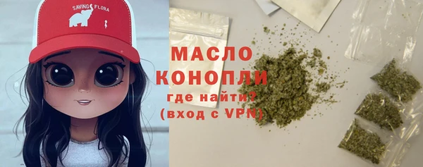 хмурый Арсеньев