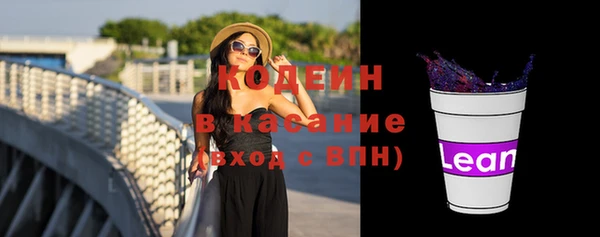 хмурый Аркадак