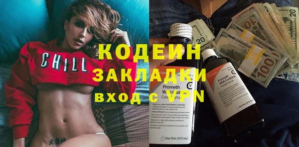 хмурый Арсеньев
