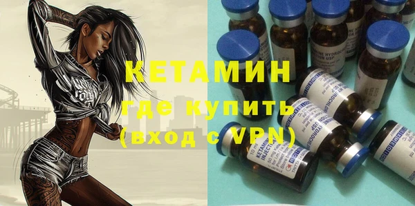 хмурый Аркадак