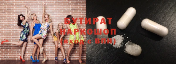хмурый Аркадак