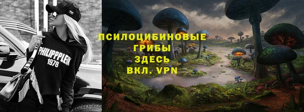 apvp Армянск