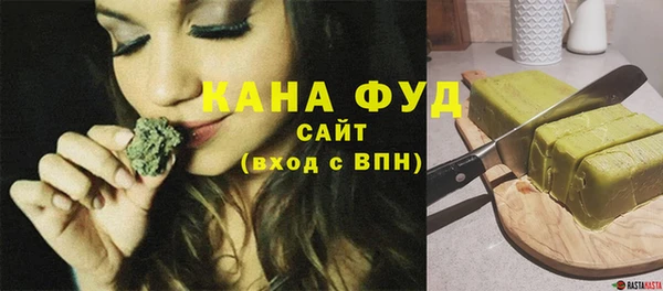 хмурый Аркадак