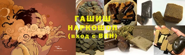 хмурый Арсеньев