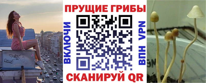 Псилоцибиновые грибы GOLDEN TEACHER  дарк нет какой сайт  Микунь 