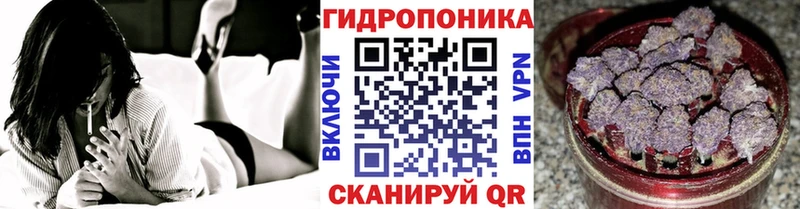 Каннабис план  продажа наркотиков  Микунь 